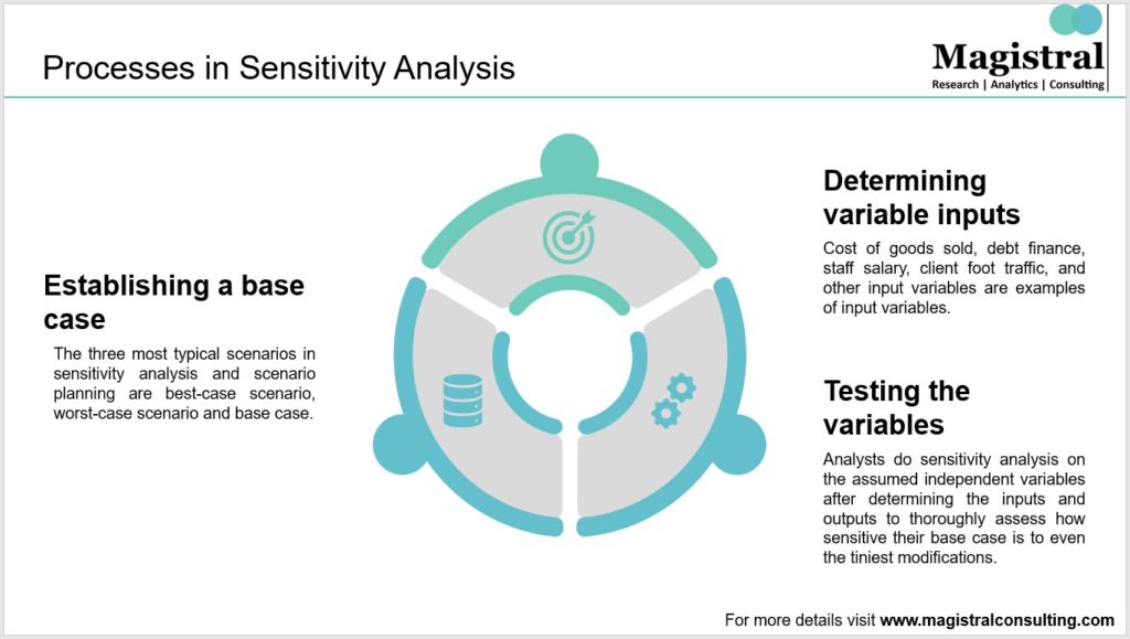 Processes in Sensitivity Analysis