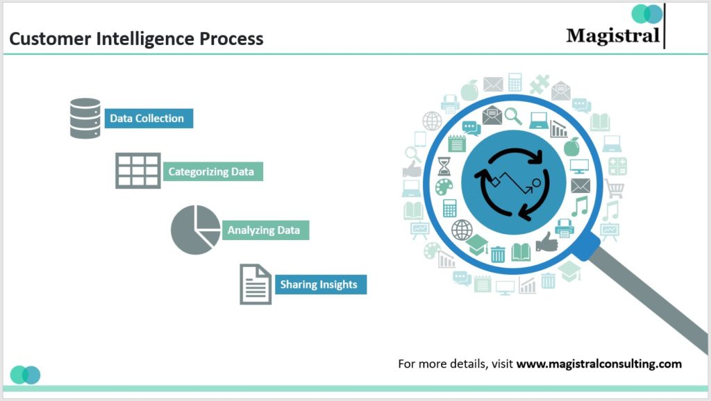 Customer Intelligence Process