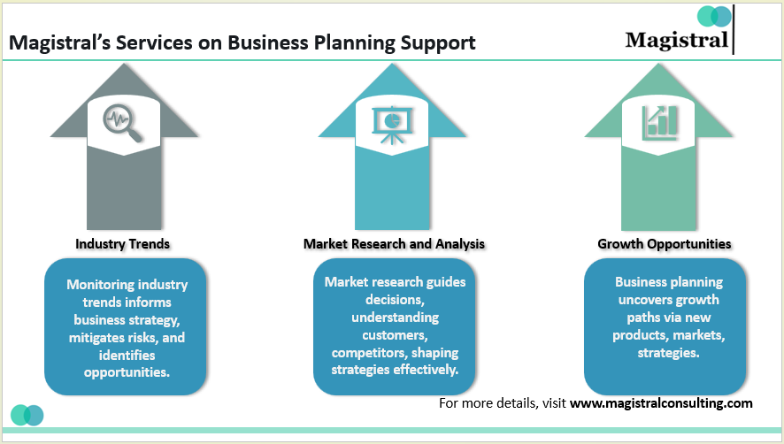 Magistral’s Services on Business Planning Support